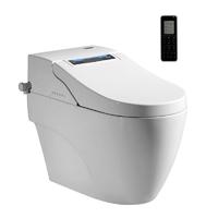 Vanza intelligent toilet IT-1100